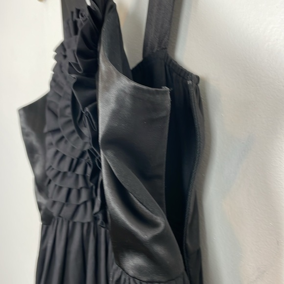 Anthropologie Burlapp Dress Womens 10 Ruffle Front Sleeveless Lined Side Zip - Picture 5 of 9